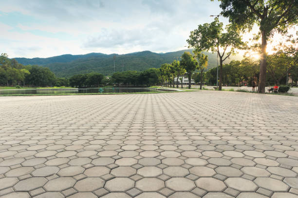 Best Driveway Paving Contractor  in Calhoun Falls, SC