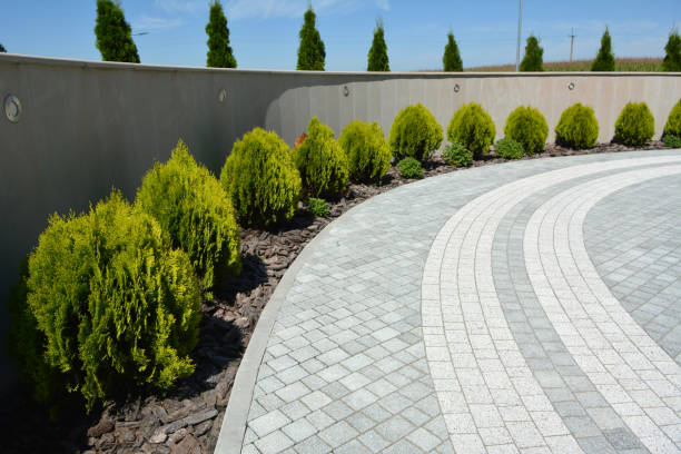 Best Concrete Paver Driveway  in Calhoun Falls, SC